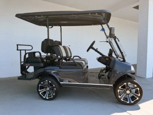 Arctic Grey Evolution Pro Plus Golf Cart Tidewater 03